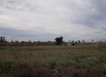 IMG-20200301-WA0000