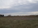 IMG-20200301-WA0004
