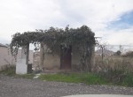 IMG-20200301-WA0006
